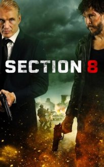 Section 8