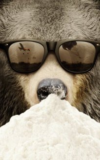 Cocaine Bear: The True Story