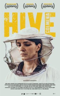 Hive (Colmena)